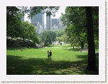 Central Park New York * 2592 x 1944 * (1.89MB)